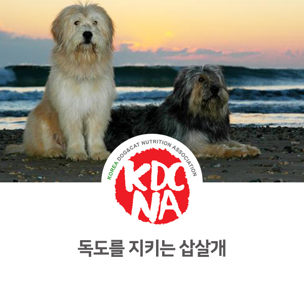 [강아지 고양이 최신 뉴스] 독도를 지키는 삽살개 이야기_13