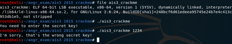  [Reversing] 2015 ais3_crackme 풀이 (angr)