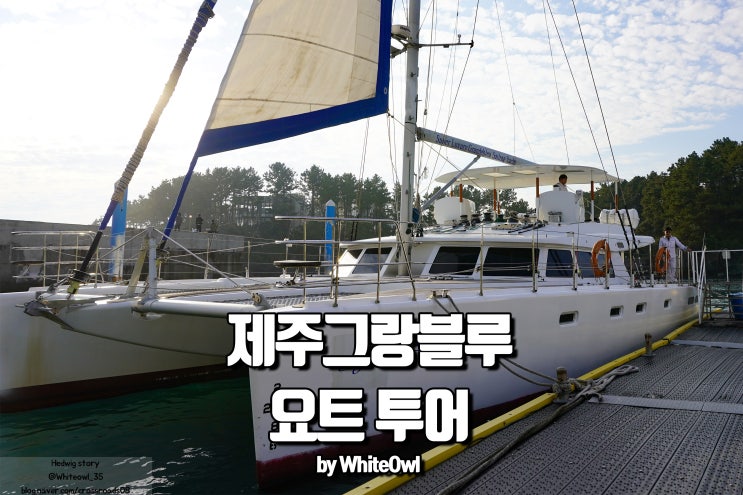  제주그랑블루 수제작 럭셔리 요트타고 추억만들기