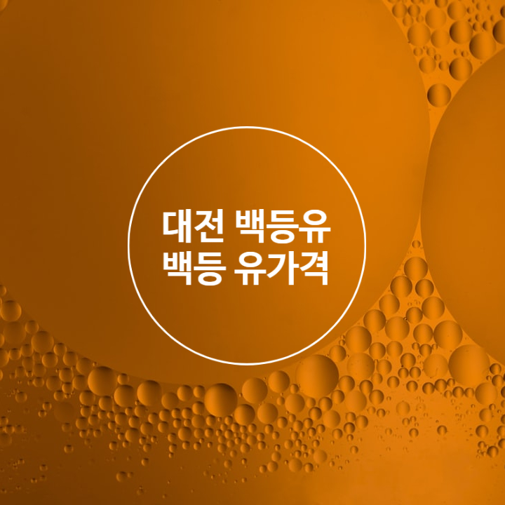  대전 백등유가격을 저렴하게 살수 있는곳은 어디 일까요?