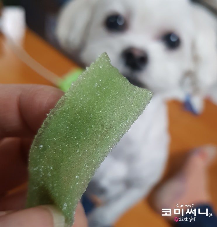 GS 편의점 간식 젤리벨트 사과 맛 조금 아쉬운 후기 GS 편의점 간식 젤리벨트 사과 맛 조금 아쉬운 후기