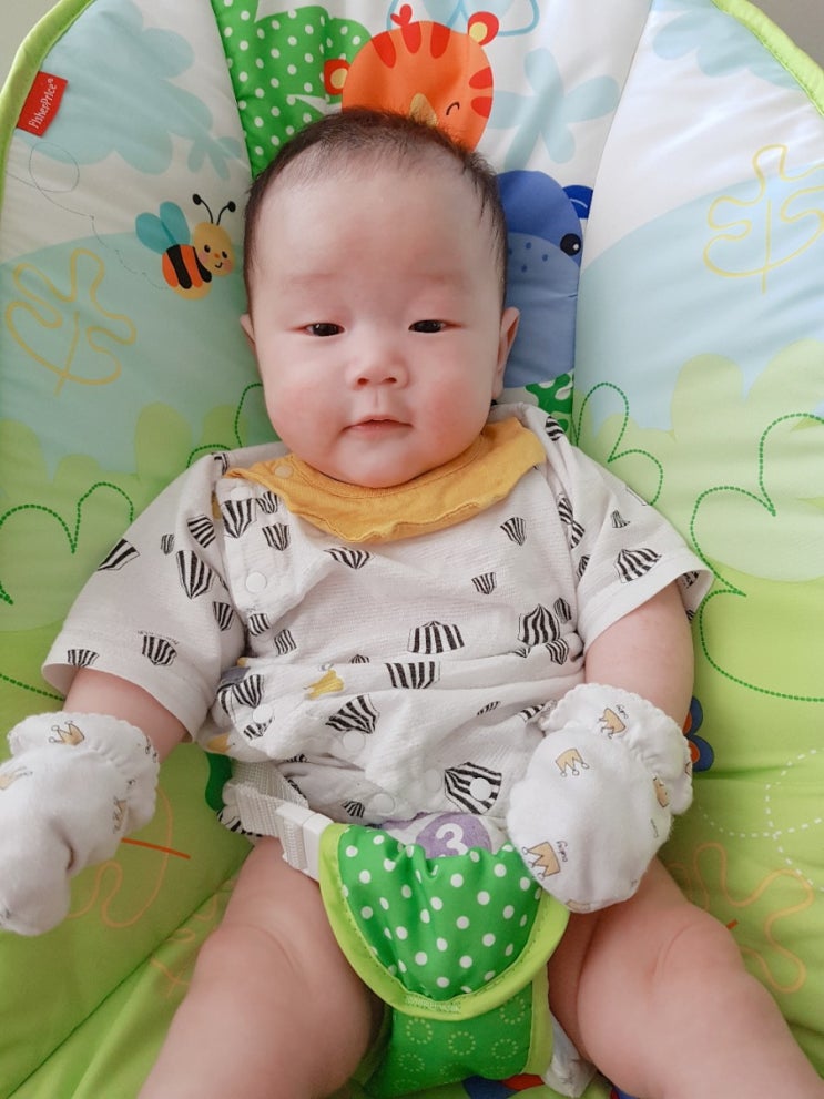  아기 바운서 추천, 피셔프라이스 바운서 사용 후기