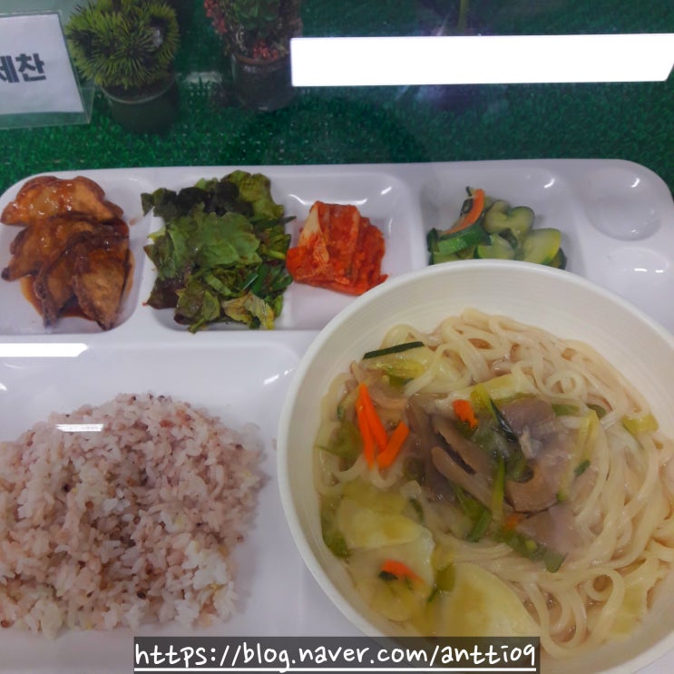  건강 식단  버섯 칼제비