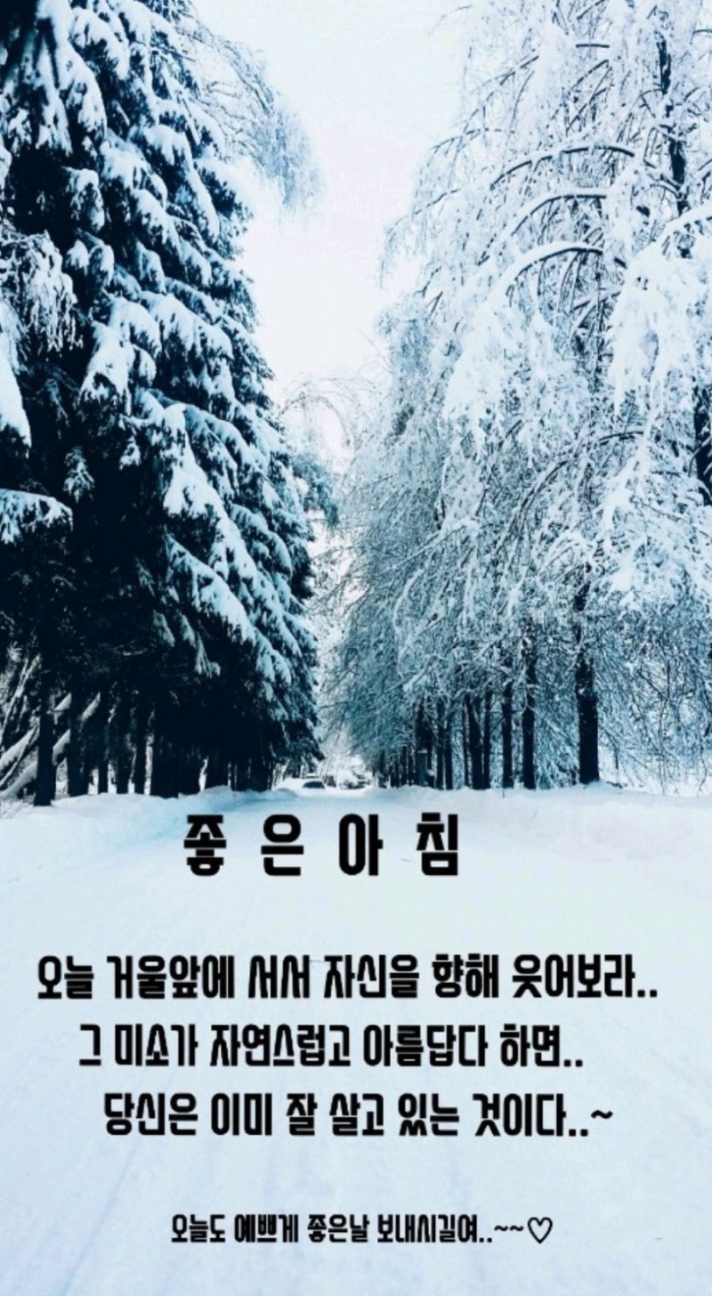 겨울아침 안부인사이미지 모음 : 네이버 블로그