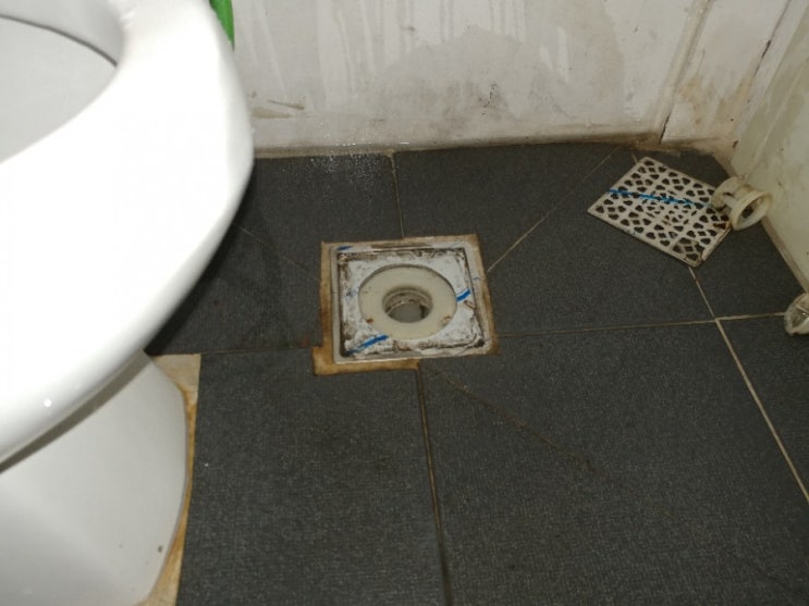  오수관이 왜 여기서 나와? 황당했던 변기 막힘 사건