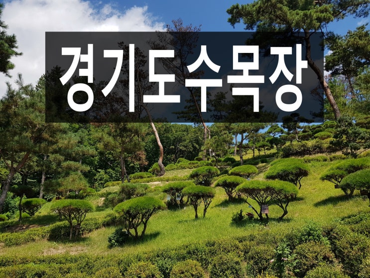  경기도수목장에 대해 자세히 알고 신중히 선택하세요.
