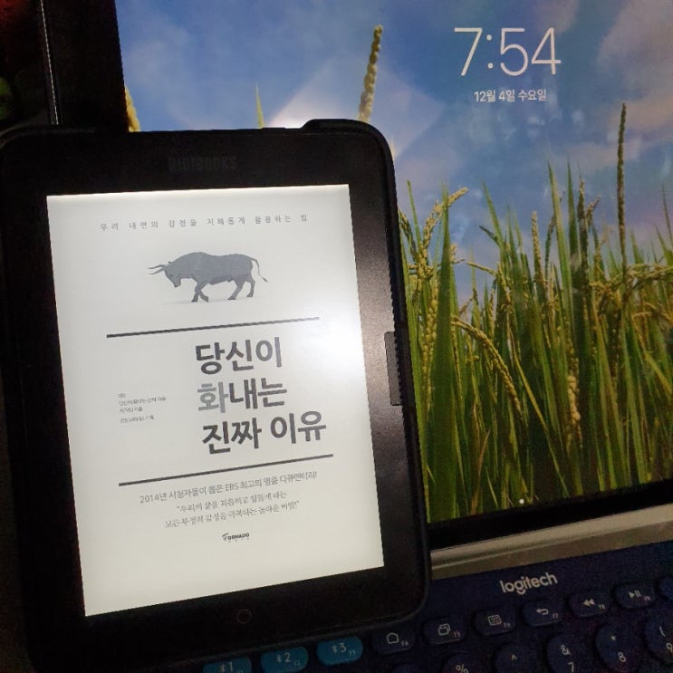  당신이 화내는 진짜 이유