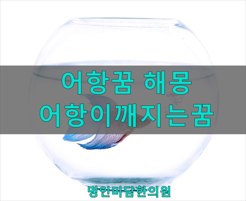 어항꿈 어항이깨지는꿈