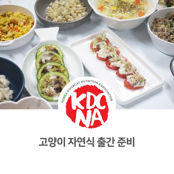  [반려동물 펫푸드 전문가 교육] 고양이 자연식 도서 출간 준비_83