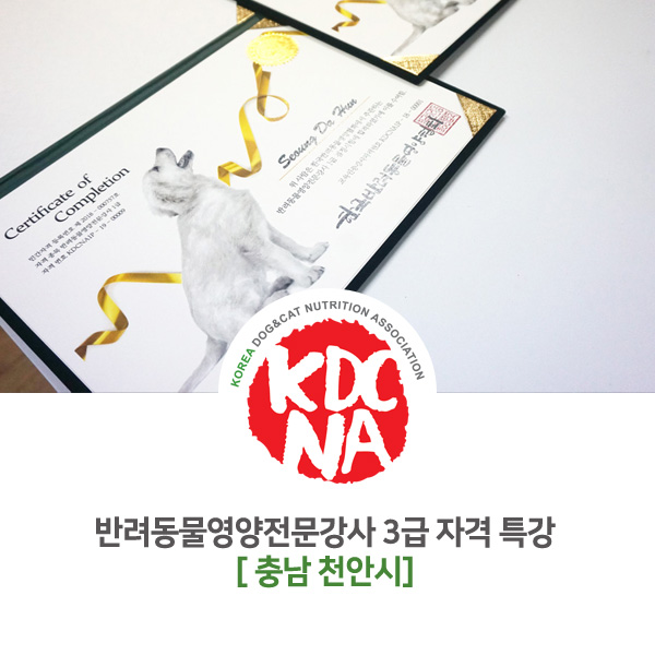 [반려동물영양전문강사 3급 특강] 한국반려동물영양협회 자격 교육 충남 천안시 모집