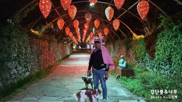  제주도 밤에 가볼만한곳 서귀포 제주조각공원 애견동반가능