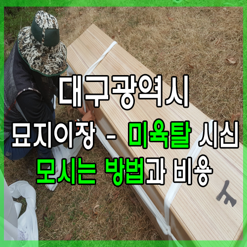  대구 묘지이장 육탈되지 않은 시신을 운구하여 모시는 방법