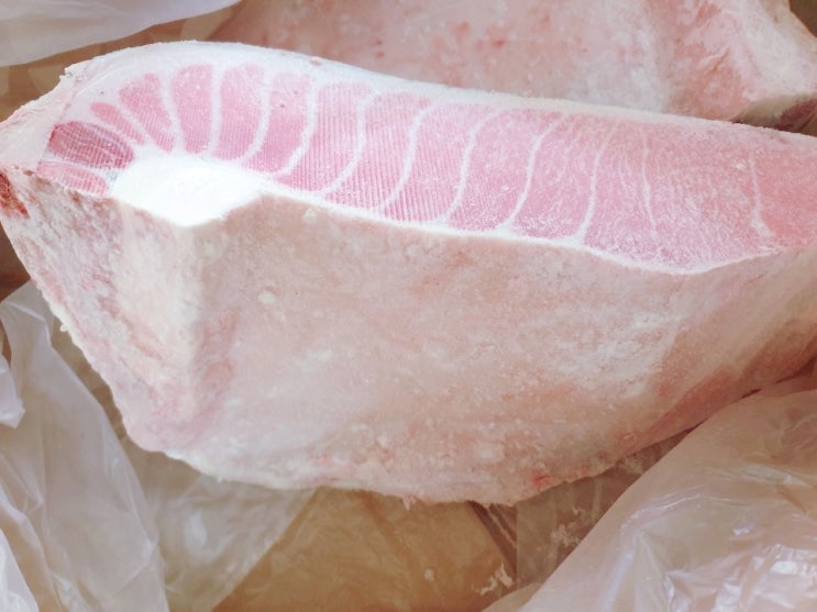  참치대뱃살 참다랑어 도매 판매 전국/해외배송