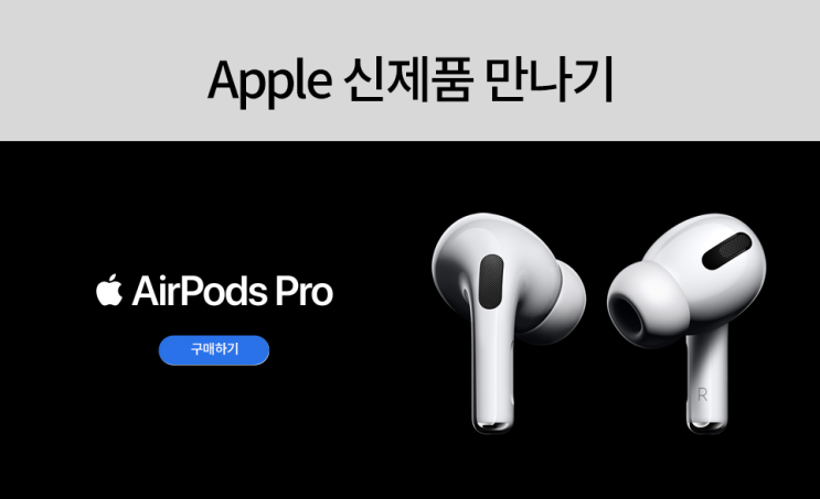  쿠팡 블랙프라이데이 크리스마스 애플 신제품 선물