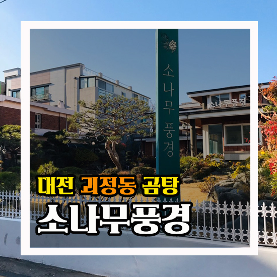  대전 괴정동 소나무풍경