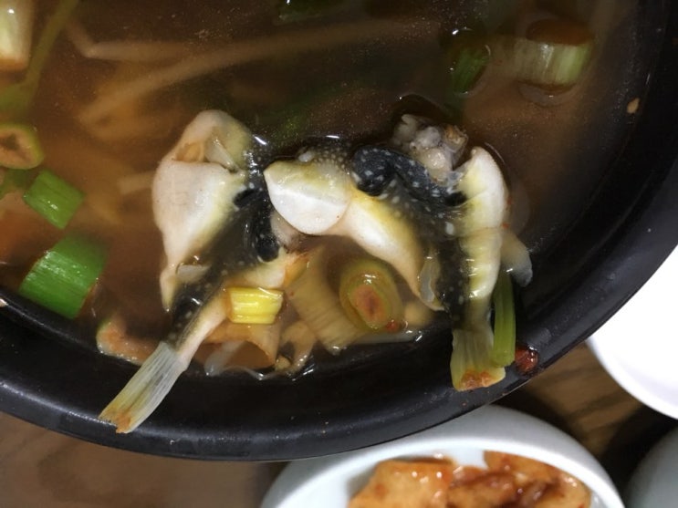 통영 서호시장 60년 전통 복국 해장국 호동식당 / 오미사꿀빵 / 미락매운탕해물탕