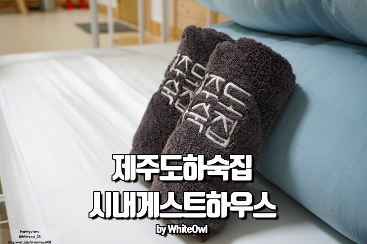  제주시내게스트하우스 제주도 공항에서 가까운 제주도하숙집