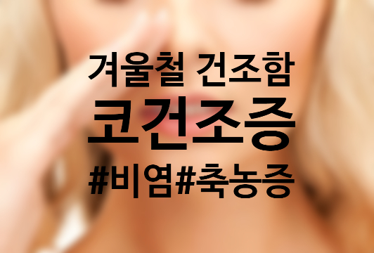  겨울철 건조한 코, 코 건조증 원인과 예방법을 알아보아요!