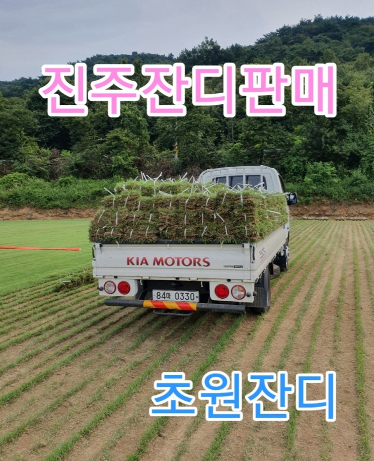  경남 진주잔디판매, 주택용롤잔디 전문농원