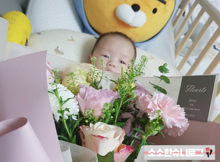  생후66일~생후70일, 슈니 자람