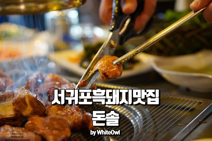  서귀포흑돼지맛집 돈솔에서 제대로된 식사 하기