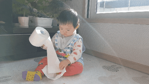  도톰한 화장지는 잘풀리는집 휴지로 추천