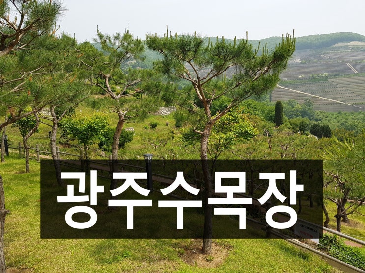  광주수목장 가족단위로 모시기 좋은 환경입니다.