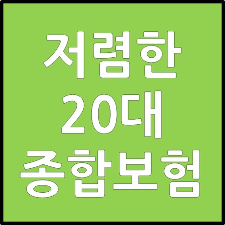  저렴한 20대 종합보험 선택기준은?