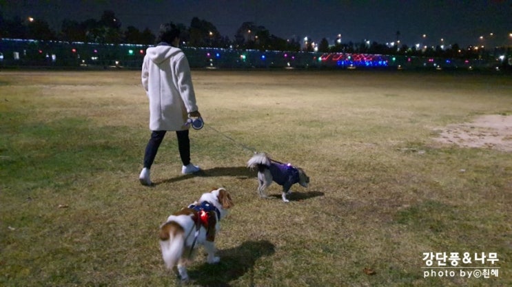  구리한강시민공원 밤산책 하기 좋은 곳