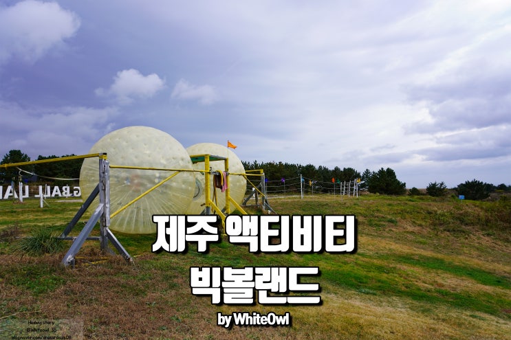  빅볼랜드 볼 굴러 가유~! 제주액티비티 즐기기