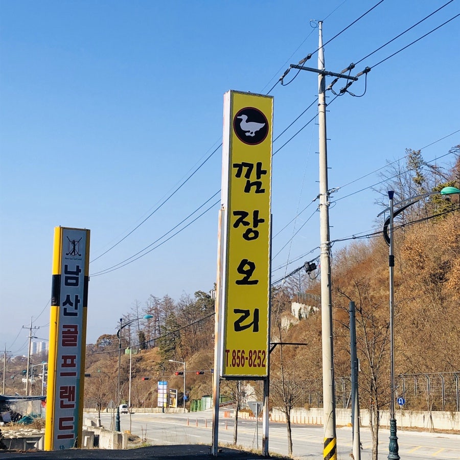 깜장오리 사진 4