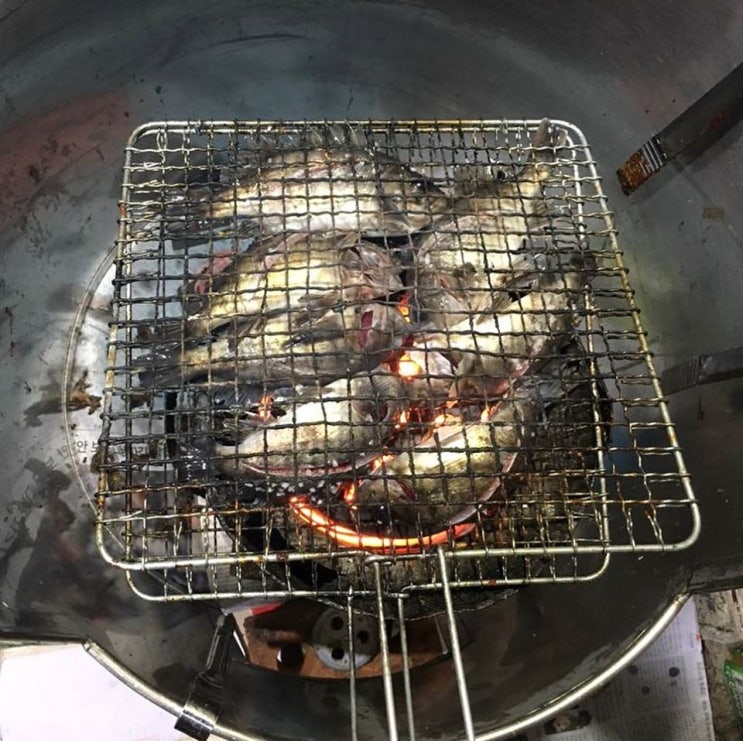 연탄불 뽈락구이 곰장어구이 통영 맛집 야간열차 / 고성곱창