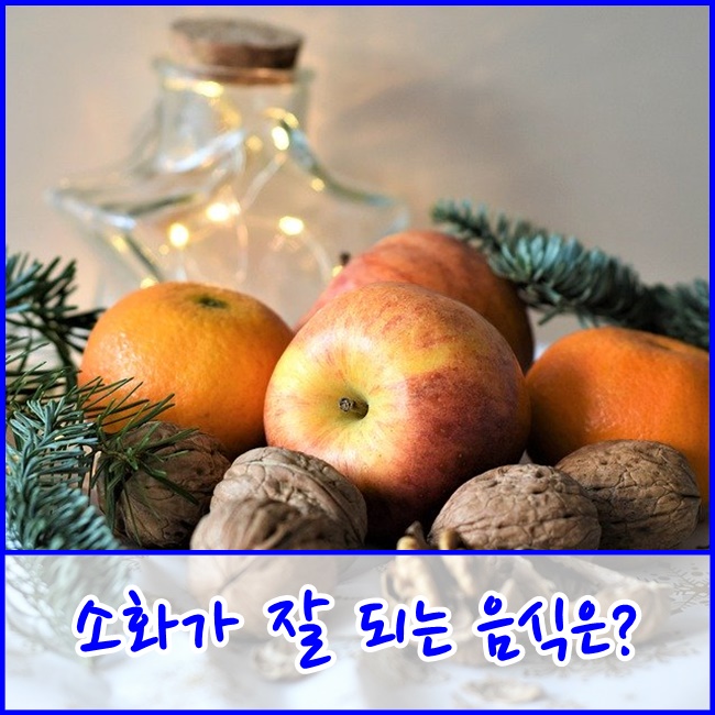  [운정.교하데이케어] 삼성재활과 알아보는 소화가 잘 되는 음식들