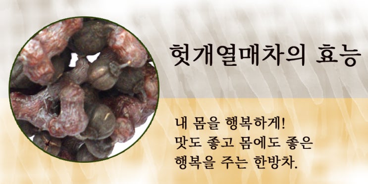  헛개열매차의 효능