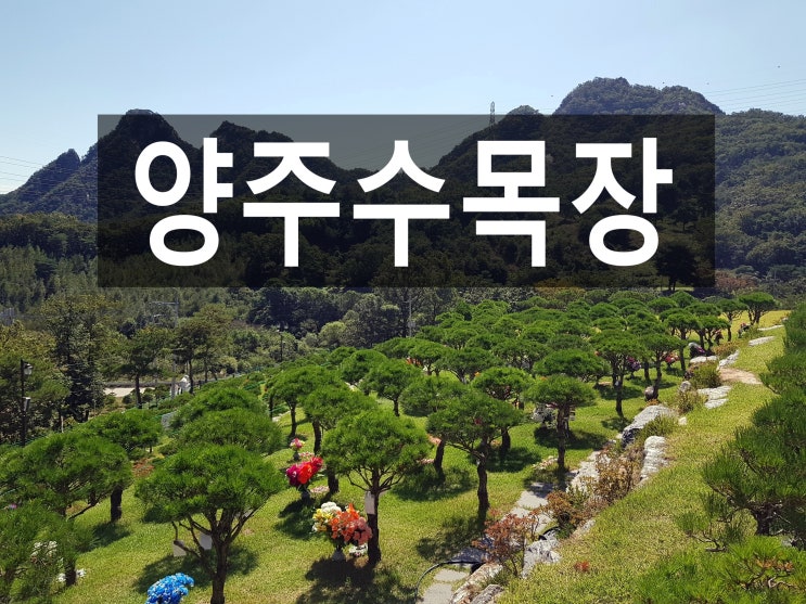  양주수목장 자연환경이 좋고 접근성이 좋아 추천합니다.^*^