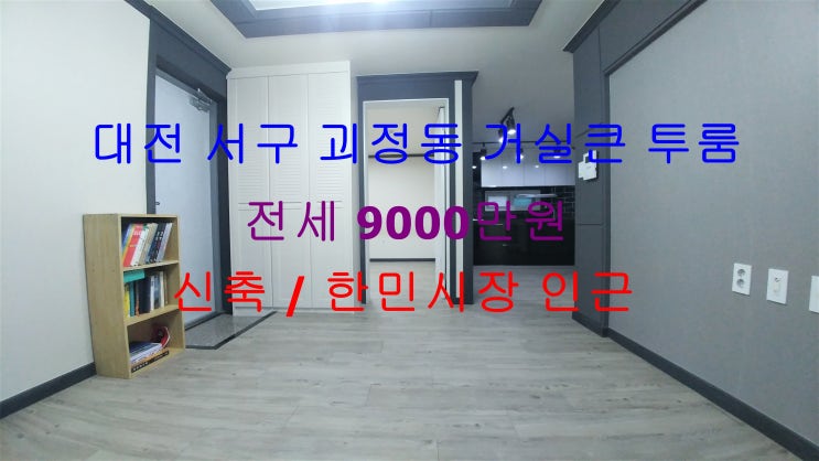  대전 서구 괴정동 신축 거실큰 투룸 ~! 한민시장 인근에 있는 엄청 저렴한 투룸 전세 매물입니다 ^^