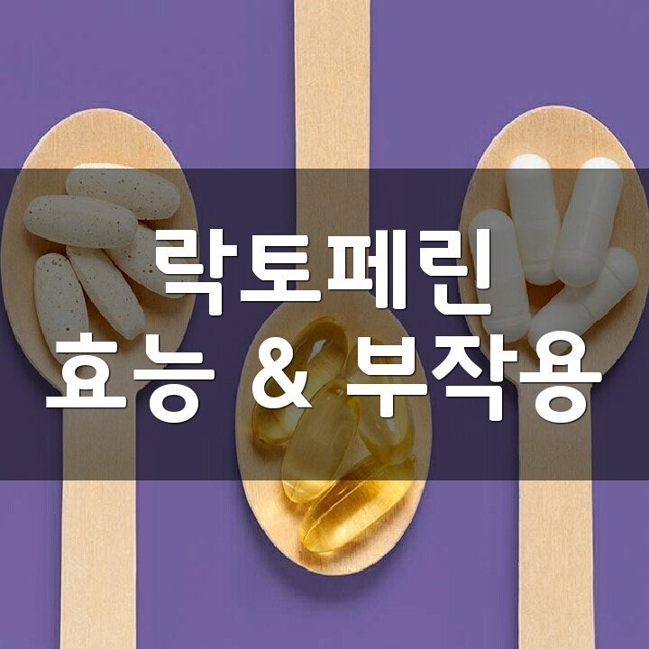 락토페린 (Lactoferrin) 효능, 부작용, 권장량, 제품 순위 : 네이버 블로그 락토페린 (Lactoferrin) 효능, 부작용, 권장량, 제품 순위 : 네이버 블로그