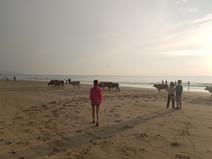  2019.07.06~07.13 6박8일 코타키나발루 여행기 호텔머큐어 시티센터 + 반딧불투어 1탄
