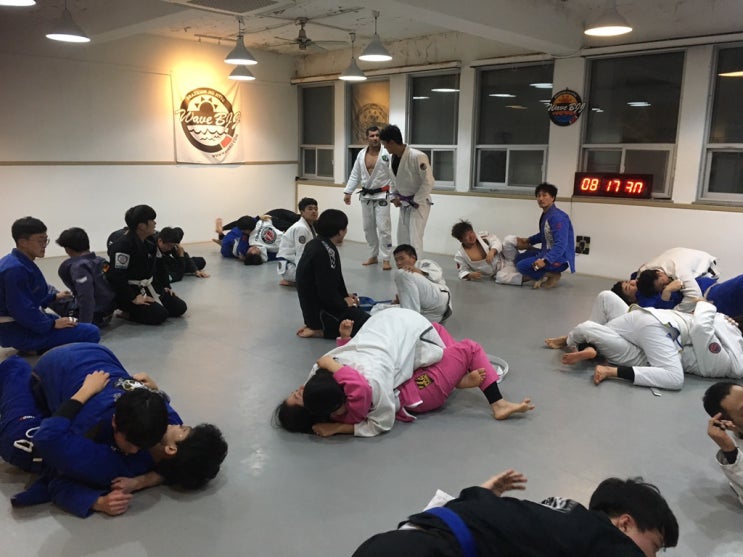  주짓수 월드 챔피언 호돌포 세미나 참석및 통역