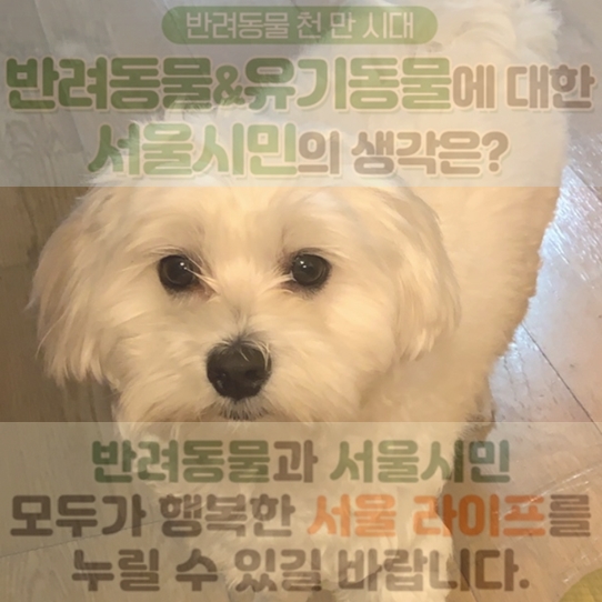  반려동물 천만시대, 서울시민에게 물었습니다.