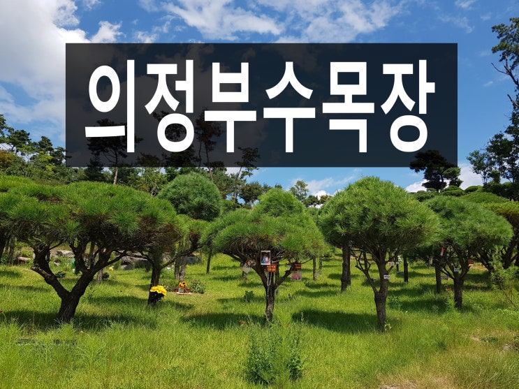  의정부수목장 자연환경과 접근성이 좋아요.