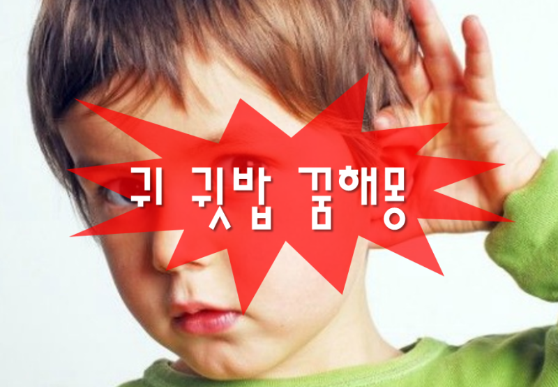 [귀 귓밥 귀지 파는 꿈 해몽] 후비는 피나는 큰 떨어지는 선물 안들리는 달린 받는 고름 나오....