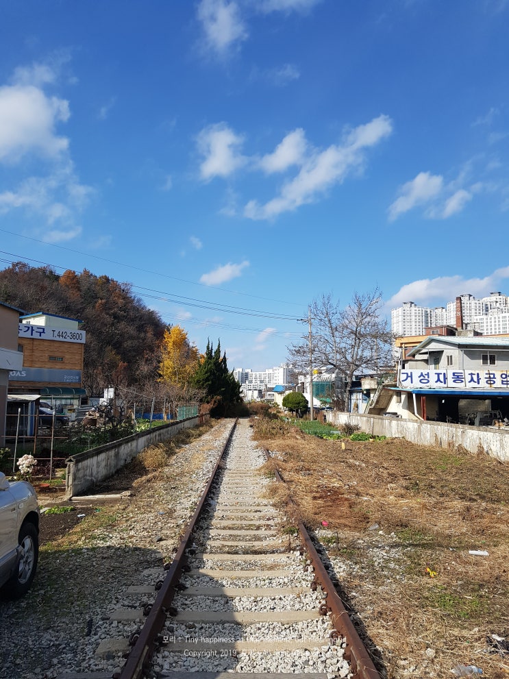 모리 일상 : 방 구하는 남자 모리 일상 : 방 구하는 남자