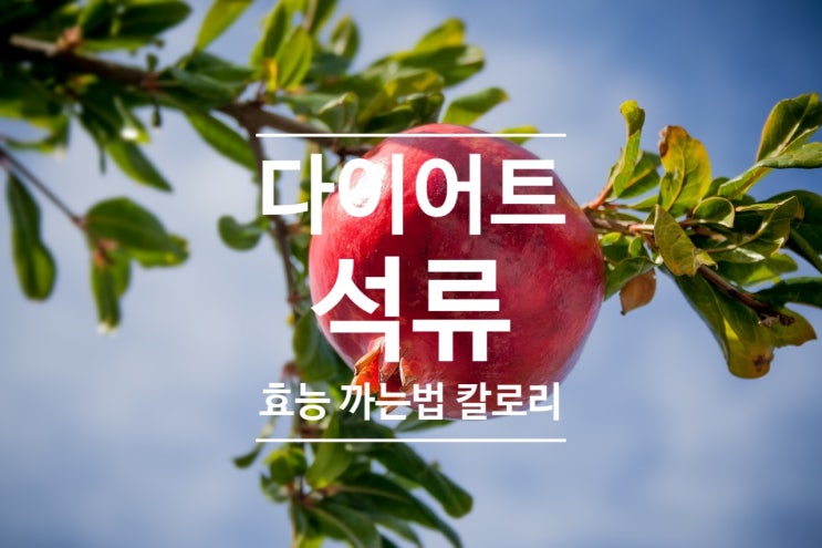  석류칼로리 석류 효능 석류 까는법 부작용
