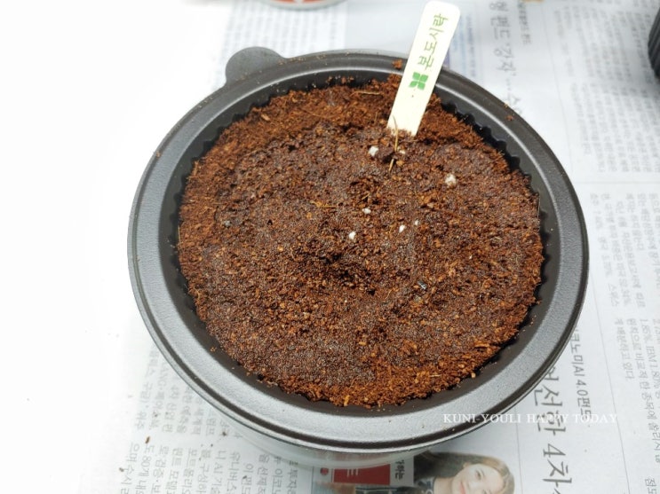 본도시락 신메뉴 순두부짬뽕 먹고 착한용기 에코키트 받고