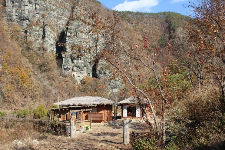  낭만가도 Ⅱ 버스로기획 너무 편했던 안동여행