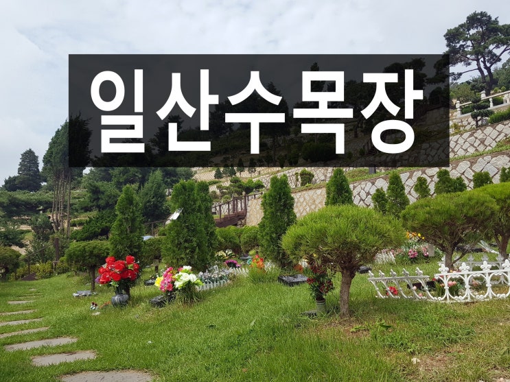  일산수목장 위치와 현재 분양 상황 알려드립니다.