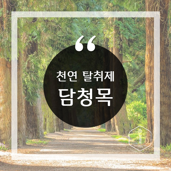  유해성분도 없는 거의 무향탈취제 담청목으로 섬유 냄새 칙칙