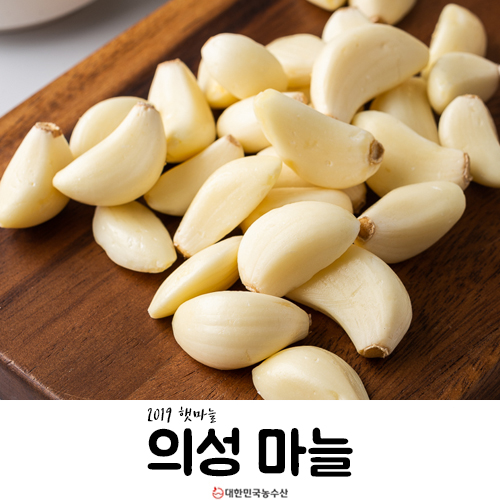  김장 양념으로 제격인 의성마늘 깐마늘