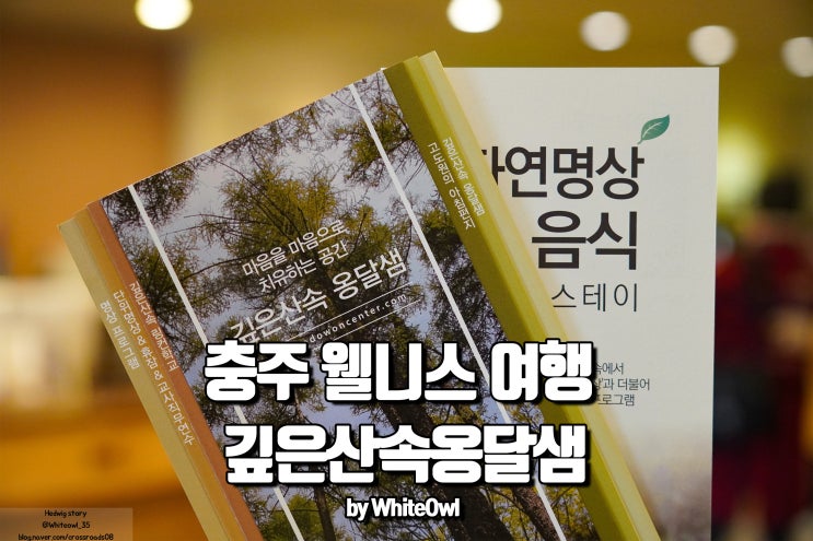  충주 깊은산속옹달샘에서 웰니스 힐링 여행을 즐기다.